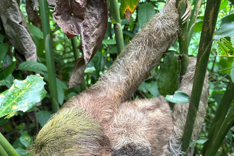 From San José: 3-Day Costa Rica Volcanoes & Waterfalls Tour