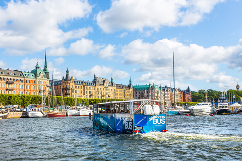 ستوكهولم: جولة برية وبحرية بالحافلة البرمائيةستوكهولم: جولة برية ومائية بالحافلة البرمائية