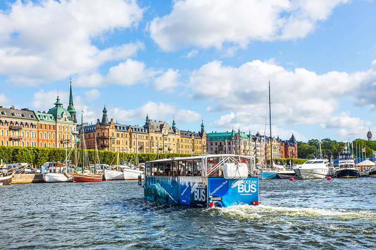ستوكهولم: جولة برية وبحرية بالحافلة البرمائيةستوكهولم: جولة برية ومائية بالحافلة البرمائية