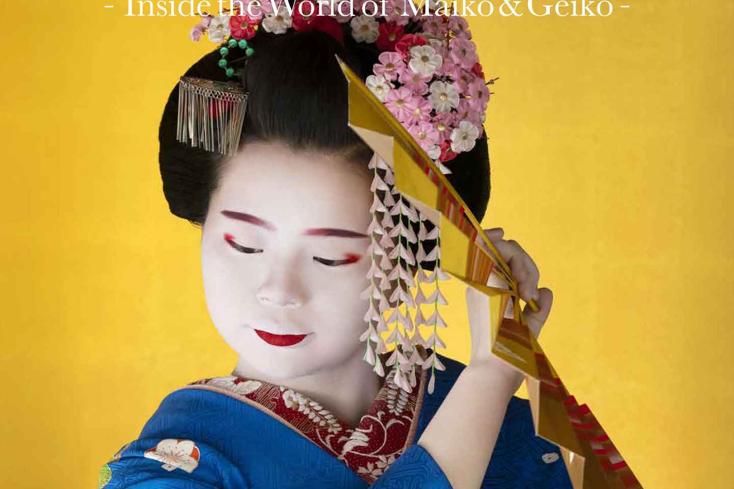 Kyoto : Geiko Maiko Dance of Kyoto & Visits of Gion Museum - Kyoto : Geiko Maiko Dance of Kyoto & Visits of Gion Museum