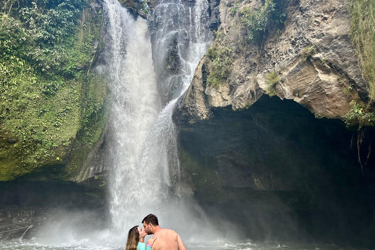 Ubud Waterfall, Temple, Rice Terrace & Art with Transfers