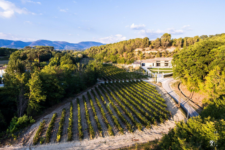 Free tour of the olive oil mill and olive oil tasting