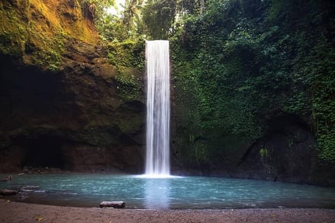 Bali: 3 Waterfalls, Rice Terrace and coffee plantation