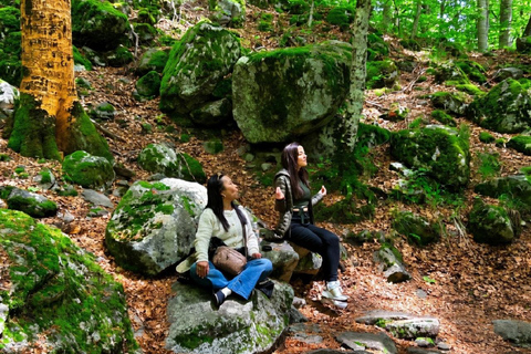 From Sofia: Rila Monastery, Sacred Cave & Alpine Picnic