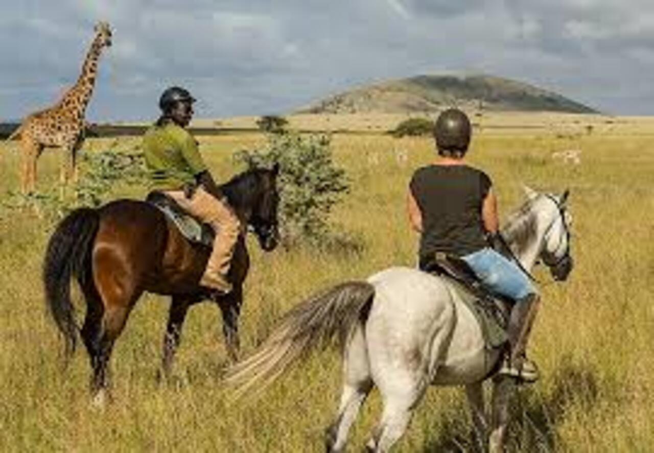 Makueni: Chyulu Hills Panoramafahrt & Reitausflug