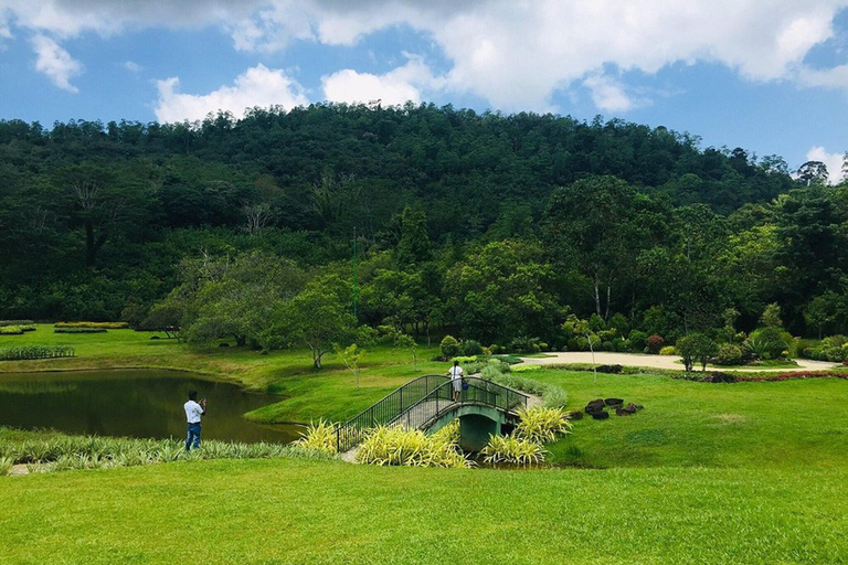 From Colombo: Seethawaka Gardens and Waterfall Day Trip