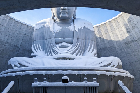Sapporo: Hill of the Buddha, Otaru Canal&Mt. Tengu Panoramas