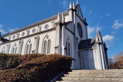 Aichi: Meiji Village & Japan’s Modernization Journey 5h Immersive option