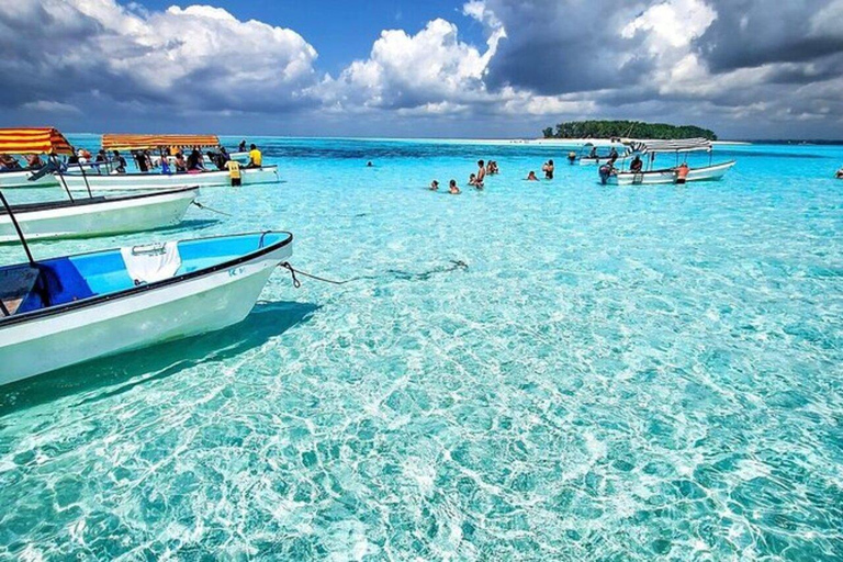 Eco Snorkel Mnemba – Tour com golfinhos, recife sustentável e estrelas-do-marEco Snorkel Mnemba: passeio com golfinhos, recife sustentável e estrelas-do-mar