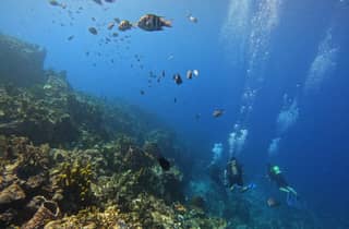Riserva Cousteau: Immersioni e snorkeling