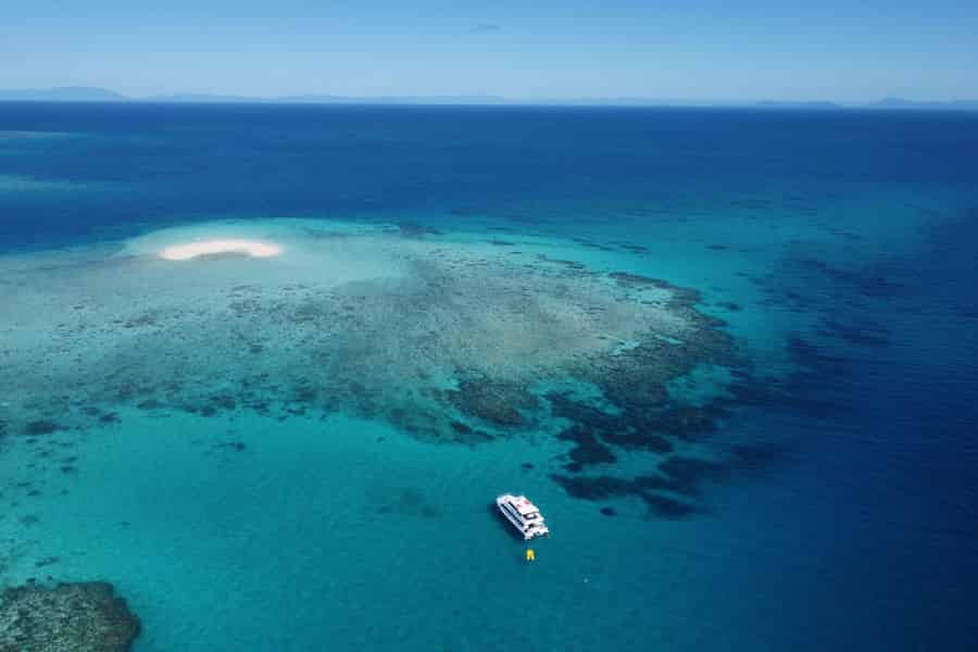 Mission Beach: Beaver Cay und Dunk Island Schnorchelausflug. Foto: GetYourGuide