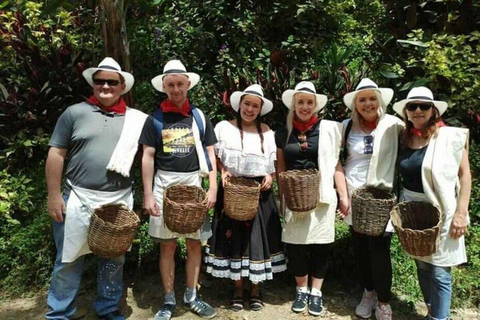 Coffee Tour from Medellin with Lunch and Coffee Tasting