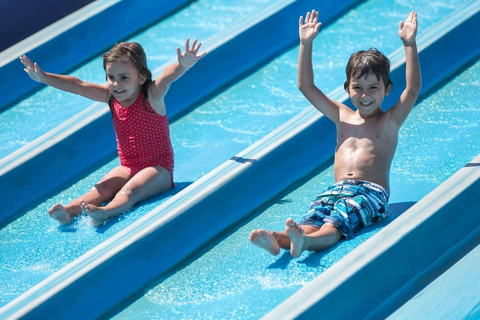 Fuerteventura: Acua Water Park Entry with Transfer service