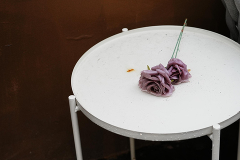 Shanghai: Suzhou Creek Industrial Heritage Walking Tour