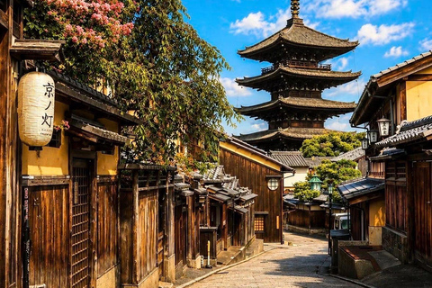 Kyoto & Osaka: Private Customizable Day Trip with Guide