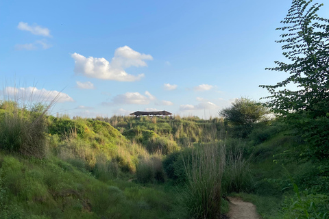 Kishan Bagh Sanddünen Park: Eine Wüstenoase in Jaipur