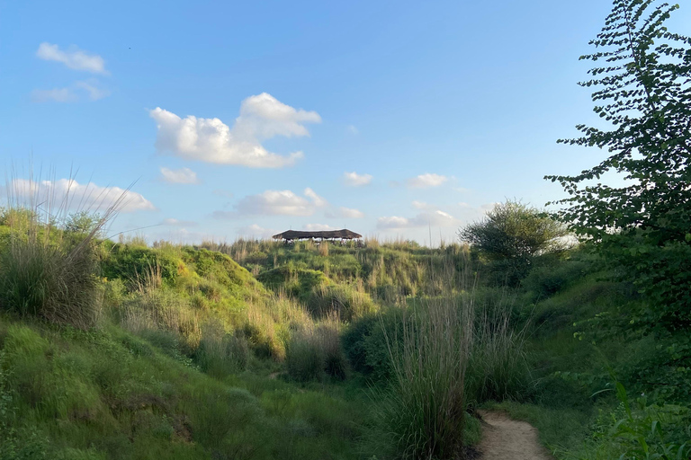 Kishan Bagh Sanddünen Park: Eine Wüstenoase in Jaipur