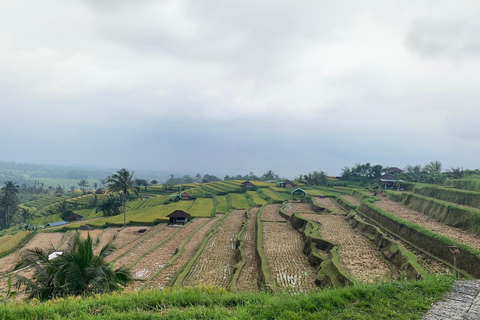 Bali: Prywatna wycieczka do Jatiluwih, Ulun Danu i Tanah LotWycieczka All Inclusive