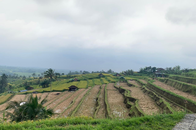 Bali: Private Tour von Jatiluwih, Ulun Danu und Tanah LotTour ohne Eintrittsgelder