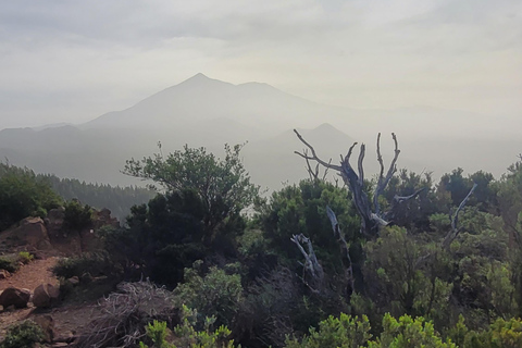 Teno: Circular hike from Erjos over the mountain ridge with views of Masca