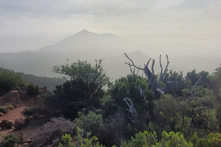 Teno: Circular hike from Erjos over the mountain ridge with views of Masca