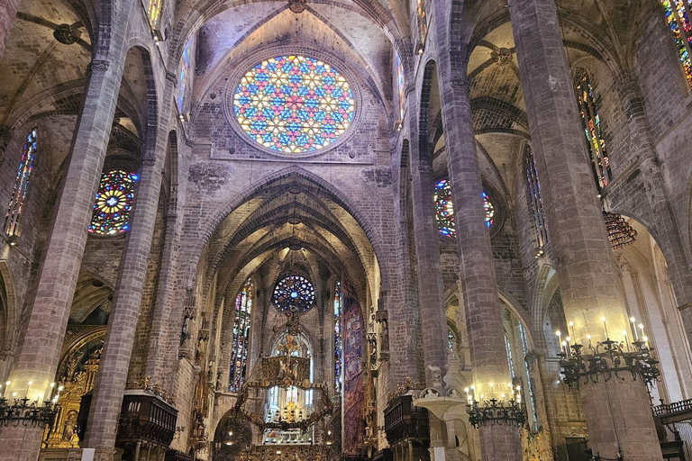 Palma: Old Town Guided Tour with Cathedral Skip-the-Line