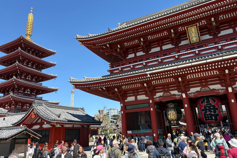 东京：本地导游带领的私人城市观光之旅豪华SUV 3人座