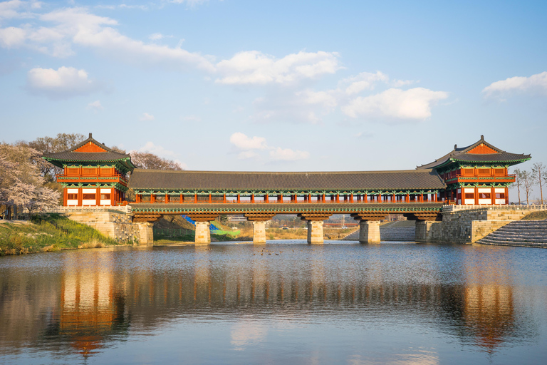 Busan: Gyeongju UNESCO Highlights 6 Hours Express Tour Shared Tour, Meet at Haeundae Station
