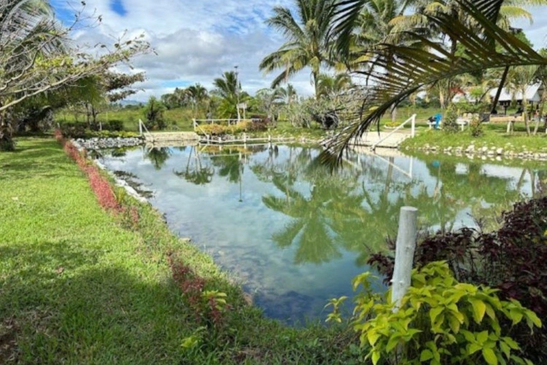 100% CFC Approuvé Zipline & Mud Spa Combo Tour à Fidji