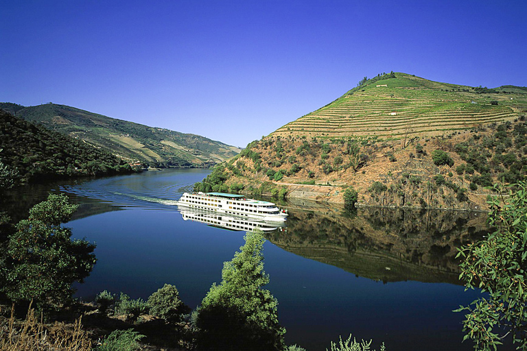 From Porto: Full-Day Douro Historical TourPorto: Full-Day Douro Tour