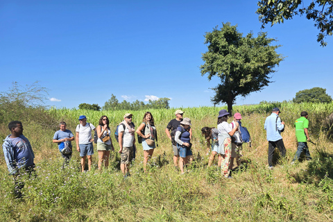 Äthiopien: 29-tägige Tour durch den Norden, Osten und Süden