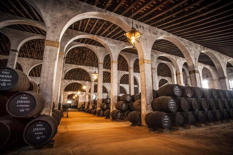 Depuis Séville : Excursion privée guidée à Cadix et Jerez