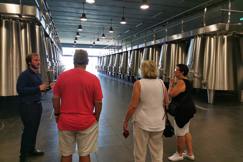 Visite exclusive des châteaux de Saint-Émilion avec dégustationsGroupe privé de 2 à 6 personnes.