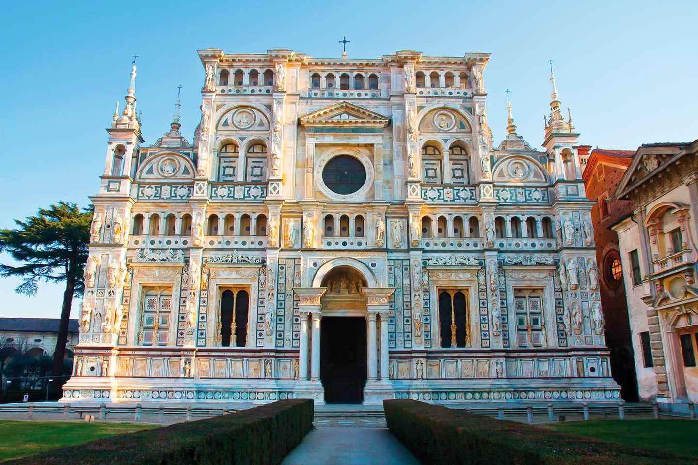 pavia