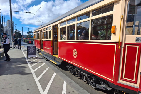 Auckland: mercati domenicali e passeggiata sul mareAuckland: mercati domenicali e passeggiate sul mare