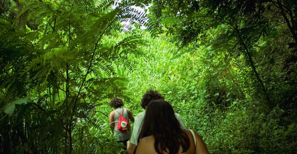Chiang Mai: 2-Day Hidden Jungle Trek & Local Hill-Tribe Stay