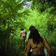 Chiang Mai: 2-Day Hidden Jungle Trek & Local Hill-Tribe Stay Chiang Mai: 2-Day Hidden Jungle Trek & Local Hill-Tribe Stay