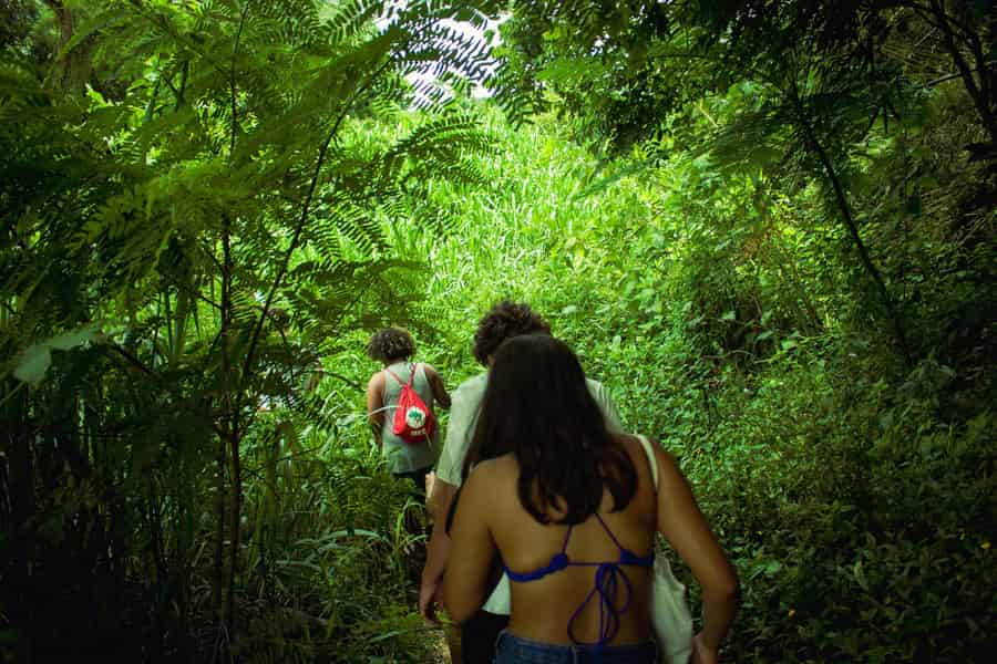 Chiang Mai: 2-tägige Dschungelwanderung & Aufenthalt bei einem lokalen Bergstamm. Foto: GetYourGuide Chiang Mai: 2-tägige Dschungelwanderung & Aufenthalt bei einem lokalen Bergstamm. Foto: GetYourGuide