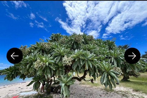 Mauricio: Excursión en Jeep por el Sur de Mauricio