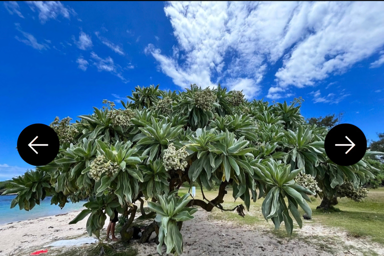 Mauricio: Excursión en Jeep por el Sur de Mauricio