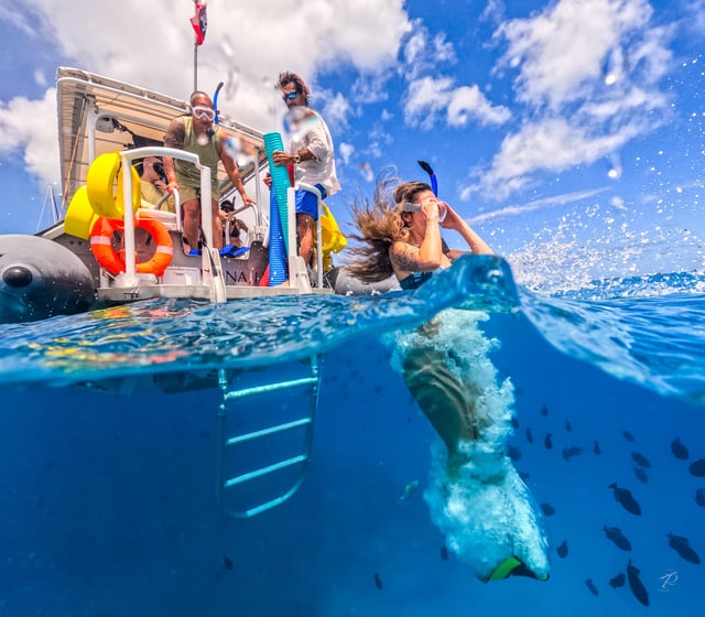 Honolulu: Waikiki hajókirándulások akár 6 fő részére