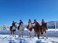 Horse Riding Day Trip in the Rila Mountain - Housity