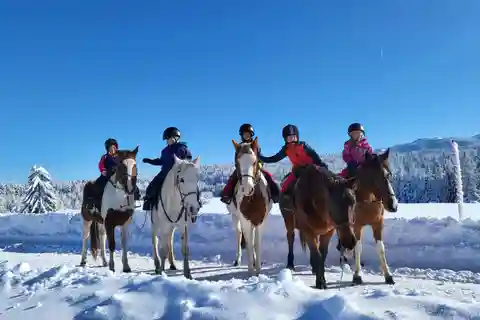 Horse Riding Day Trip in the Rila Mountain