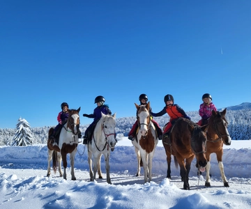 Horse Riding Day Trip in the Rila Mountain