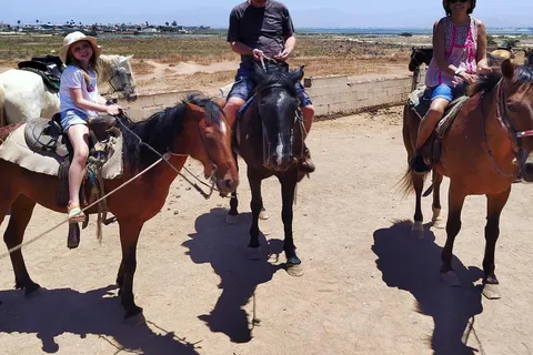 Ensenada: Horseback Riding Tour at Playa Hermosa