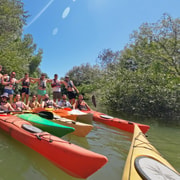 Varna: Kamchia River Kayaking Day Tour