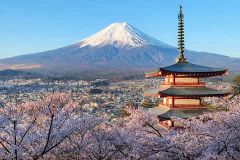 The best Mount Fuji Spring activities 2026 - Free cancellation