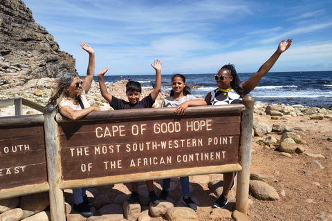 Cape town:Cape of good hope afternoon tour/penguins