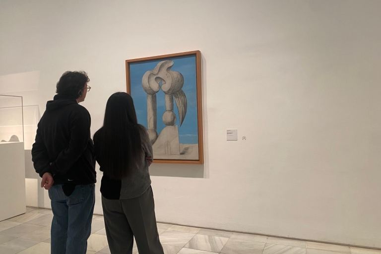 Madrid: Visita guiada al Museo Reina Sofía con entradas
