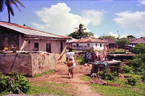 Traditional dhow ride to Kisite Marine Park & Wasini & dolphin watching